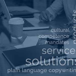 Business Plan, System, and Process Development
