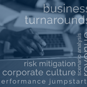 Consulting Services (Hourly)